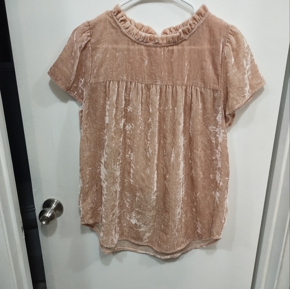 LOFT Pink Ruffled Bib Collar Velvety Blouse - Picture 2 of 12